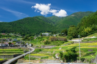 農村